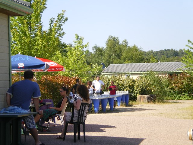 Tables de ping pong